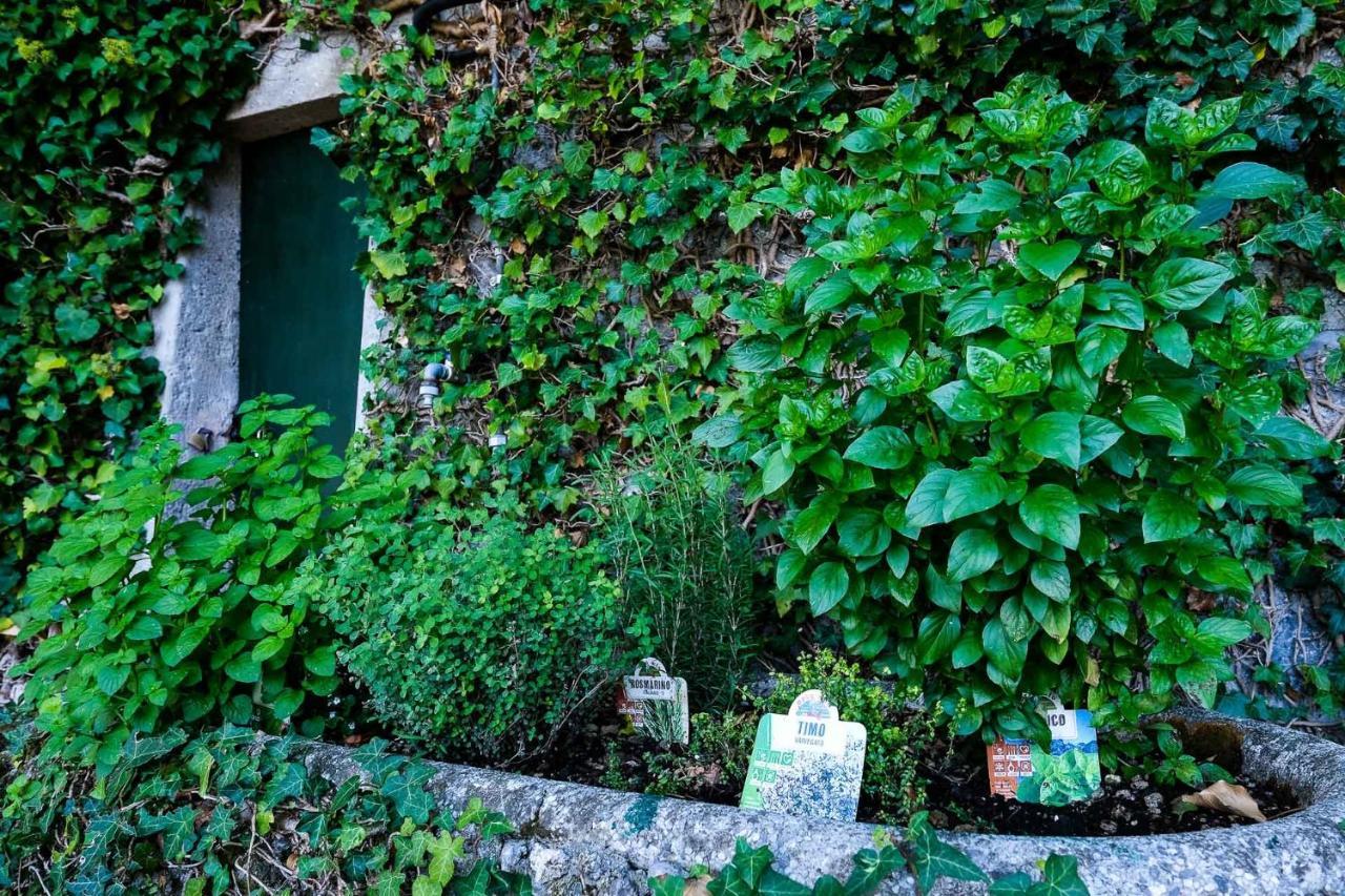 Villa Gina Varenna Bagian luar foto